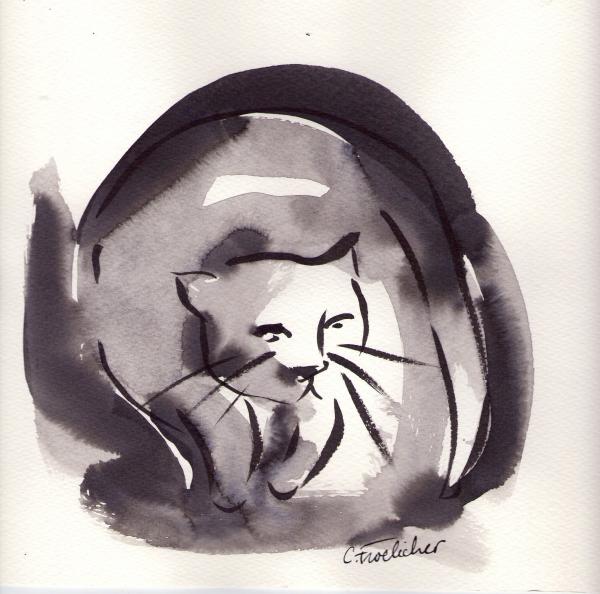 Chat ronchon